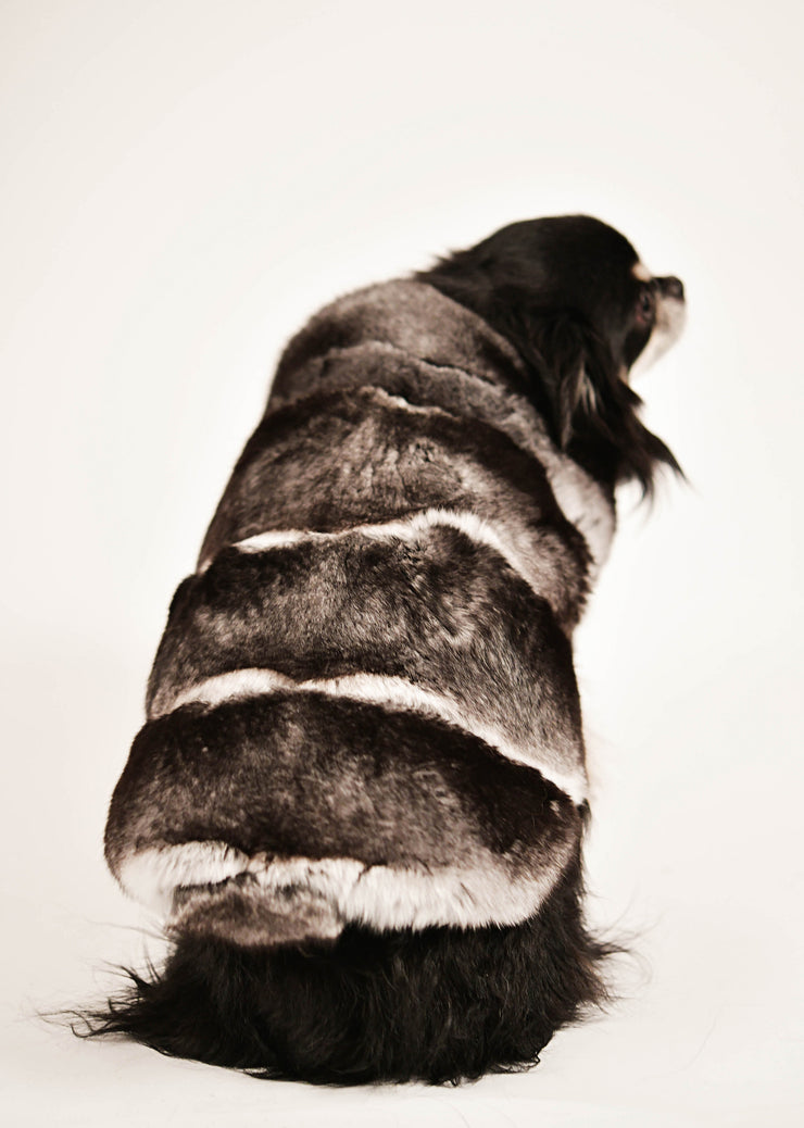 Manteau en chinchilla violet – PetSetter