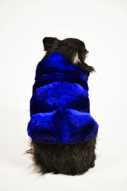 Manteau en chinchilla bleu