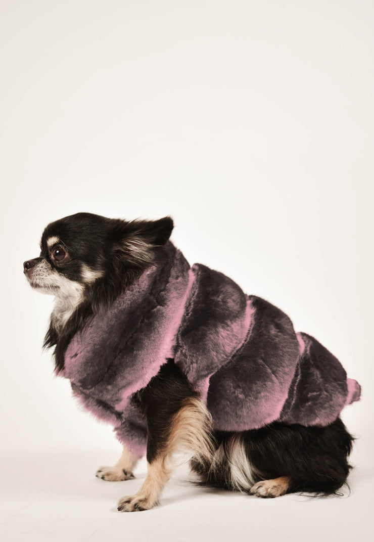 Manteau en chinchilla violet – PetSetter