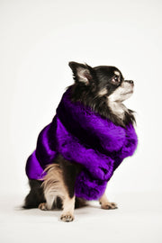 Manteau en chinchilla violet